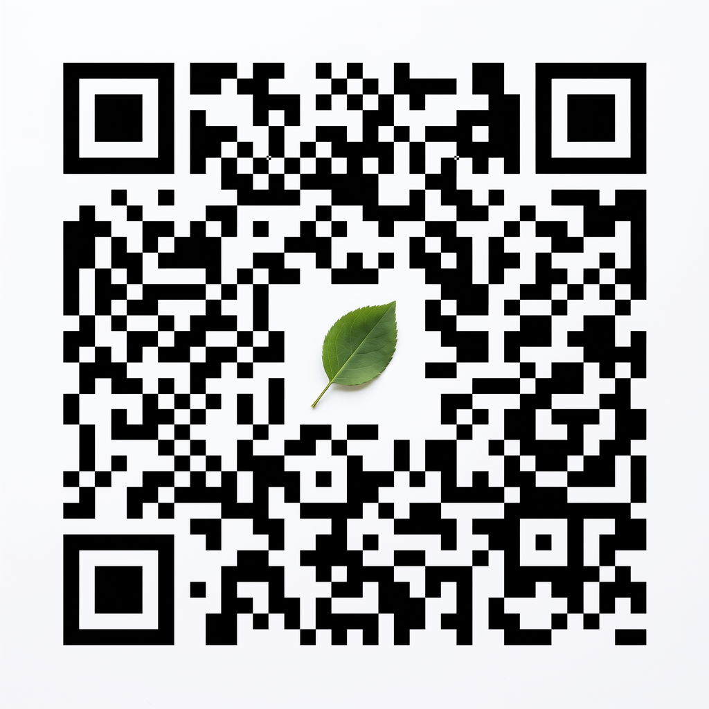 大象传媒